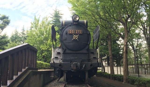 車でお出かけ♪子連れで世田谷公園！駐車場＆ランチは？